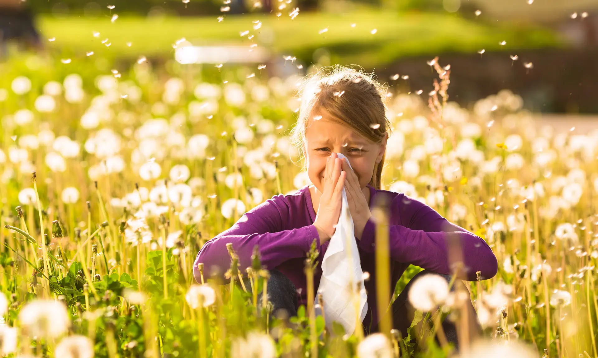 Allergologia — reazione allergica